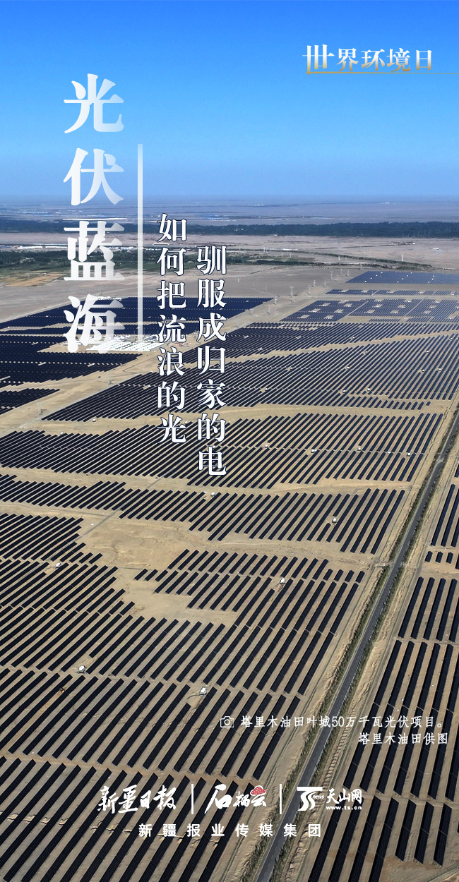 世界環境日丨看新疆的“綠色”答卷
