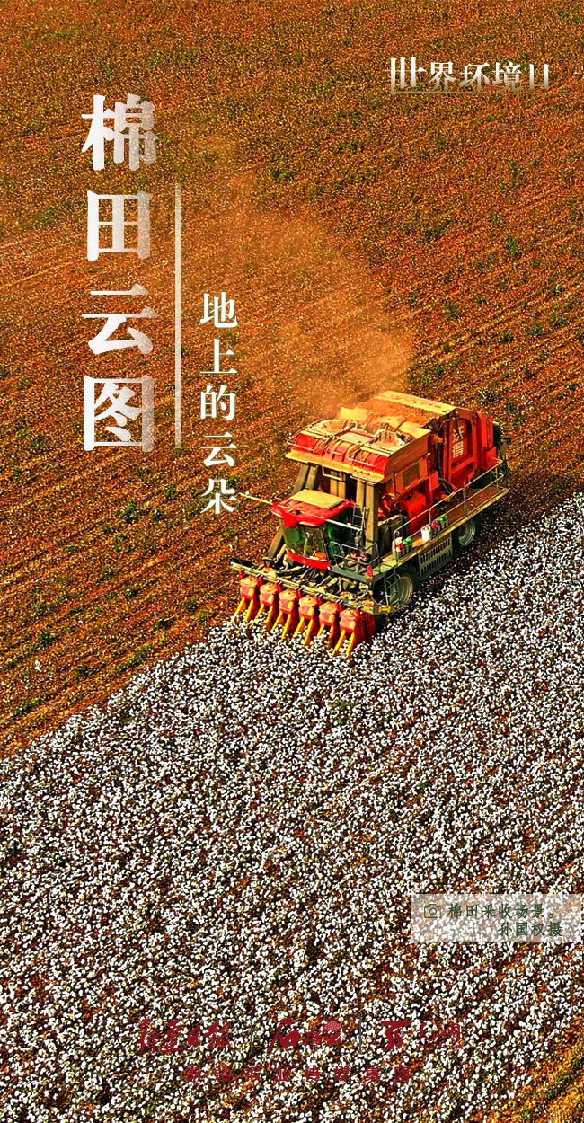 世界環境日丨看新疆的“綠色”答卷
