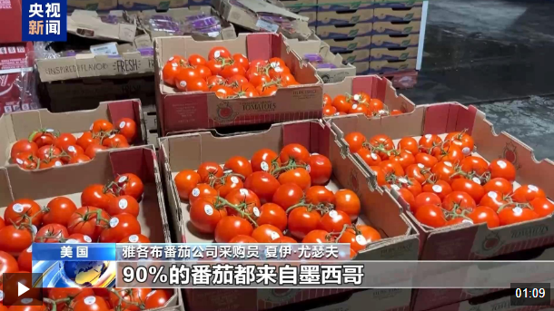 雞蛋漲完牛肉漲 後面番茄也要漲 關稅就這樣“砸”了美國人餐桌