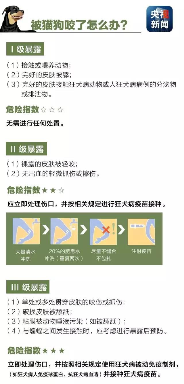 狂犬病致死率接近100%！了解這些知識讓你遠離它！