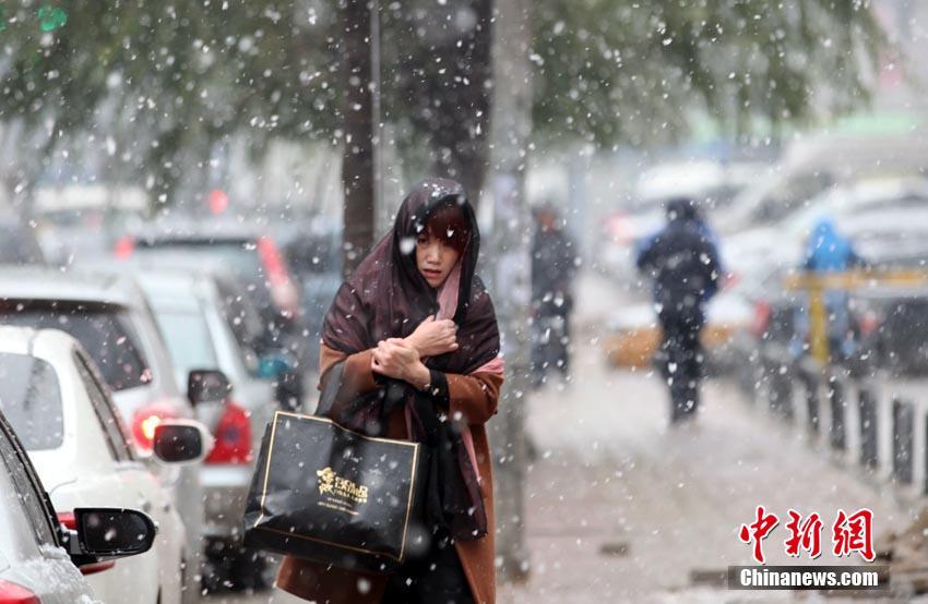 長春迎“初雪” 城市披銀裝