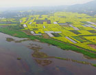 (網路媒體走轉改)樂山峨眉河 春來踏青好去處