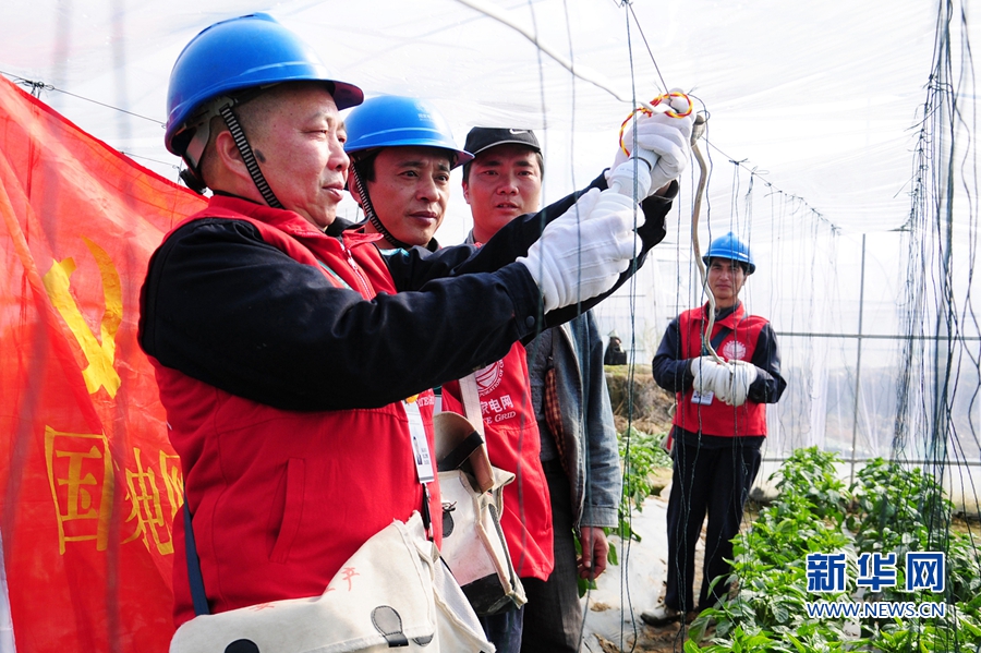 (網路媒體走轉改)福建建甌有支春耕保電服務隊 解菜農後顧之憂