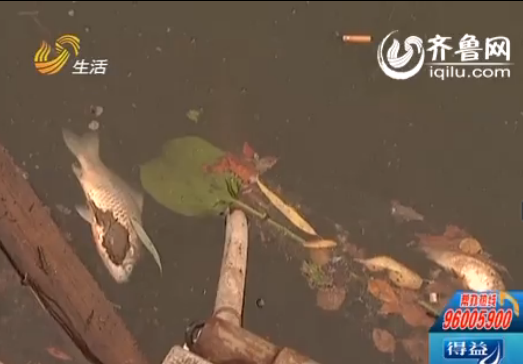 濟南嚴查景區不文明現象：大明湖釣魚遛狗將罰