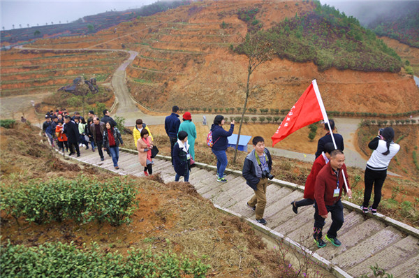 閩東茶鄉行：漫步寧壽生態茶園 品高山香茗