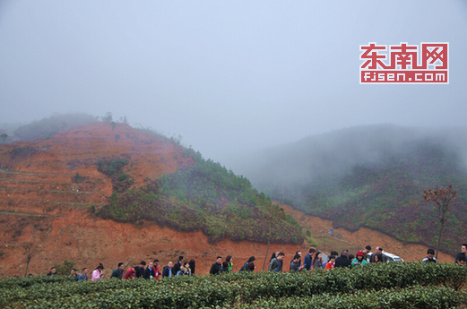 壽寧：多措並舉 打造“生態茶鄉、山水新城”