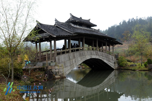 全國網媒記者走進鯉魚溪 感受純真自然的“天人合一”景區