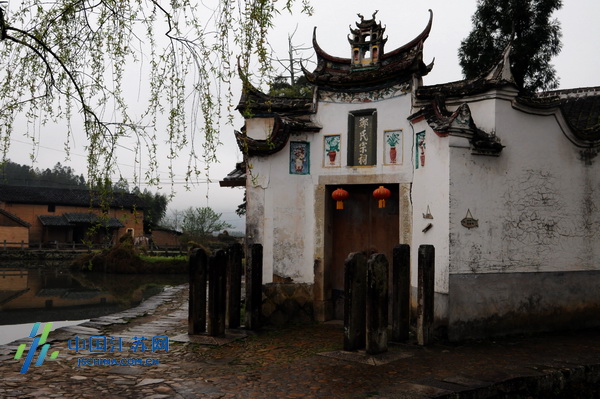 全國網媒記者走進鯉魚溪 感受純真自然的“天人合一”景區