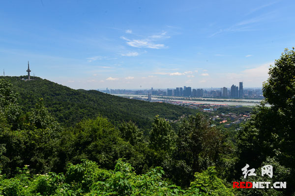 從岳麓山頂俯瞰長沙，山水洲城的景色盡收眼底。從1939年9月到1944年8月期間，中國軍隊與侵華日軍在以長沙為中心的第九戰區進行了4次大規模的激烈攻防戰，史稱“長沙會戰”。