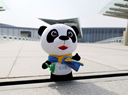 27170513dr1c_副本.png