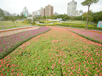 大安森林公園