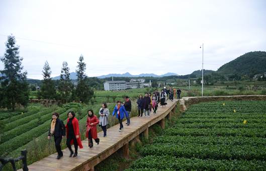 參訪團在鳳岡縣茶海之心景區考察。