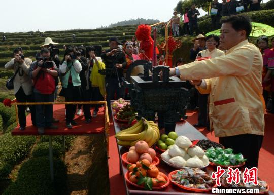 閩茶企“開春第一採” 兩岸共探茉莉花茶文化之旅