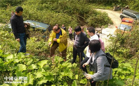 臺商到雅安市天全縣、滎經縣考察山葵種植項目