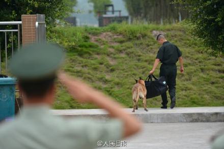 武警老兵退伍 警犬咬住行李不放