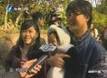 臺北市組織新人逛動物園助“好孕”