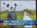 “熊貓頭”拍婚紗走俏“圓仔”商機上看五億新台幣