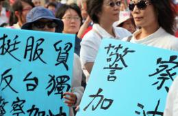 臺公民正義聯盟發起反“反服貿協議”集會遊行