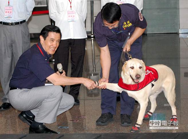 馬英九視察桃園機場 與緝毒犬握手互動（圖）