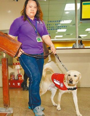 遭路人打瞎眼睛導盲犬法庭聆判成臺灣首例（圖）