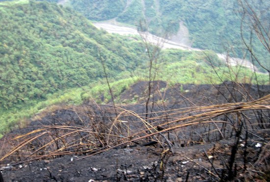 阿里山延燒5公頃大火熄滅 現場成焦土（圖）