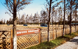 兩岸新媒體大陸行記者團參訪天福國家濕地公園