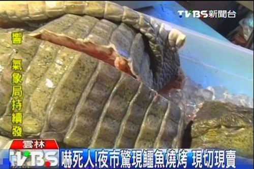 臺灣夜市現“烤鱷魚”遊客吃驚仍願嘗鮮