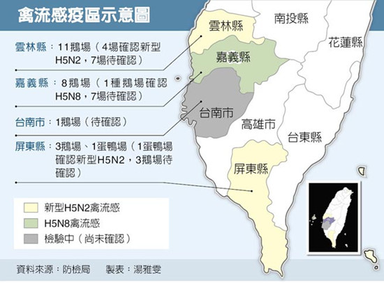 臺灣撲殺1.5萬隻鴨鵝滅禽流感水禽屠宰場停業2天