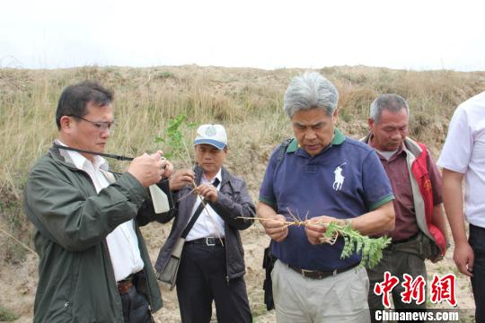 臺灣商人三赴甘肅榆中：這裡的中草藥臺灣很受歡迎