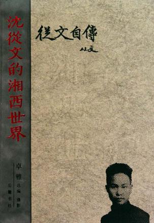        據《沈從文的後半生》的作者張新穎介紹：“侯孝賢1982年的時候拍了《風櫃來的人》，在這之前他已經拍了三部電影。但是楊德昌這些從美國回來的朋友告訴他，拍電影要有一個自覺的觀念和方法。這個階段的侯孝賢特別煩惱：本來我覺得我很會拍電影，可是現在我不會拍了。”