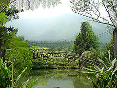 中區山海之旅二日遊 溪頭、杉林溪森林幽靜、觀星之旅