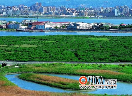 關渡自然公園