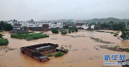  8月19日，廣西來賓市象州縣羅秀鎮菜廠村一片汪洋。當日，受強降雨影響，廣西來賓市象州縣11個鄉鎮遭受不同程度的洪澇災害。據初步統計，全縣被洪水圍困群眾2500多名，部分房屋、道路、橋梁被損毀，農作物受災3萬多畝。目前暫無人員傷亡的報告。新華社發(廖才興 攝)