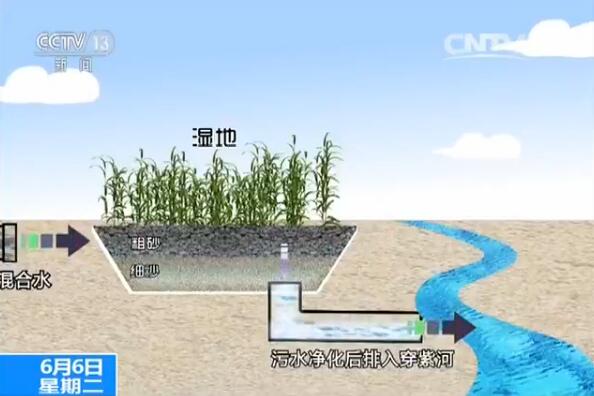 動畫演示蘆葦地處理污水過程
