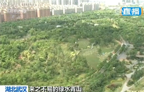 園博園位於城市的北風口，種類豐富的綠色植被能改變風速和風向，對PM2.5有很大的阻擋和吸附作用，同時，極大地降低周邊的粉塵和微小顆粒。自2015年建成至今，已減排二氧化碳約200噸，中國在用實際行動履行著《巴黎協定》。