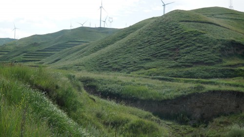 寧夏海原：破解馬鈴薯增收的生態“密碼”