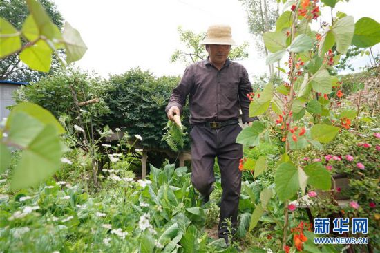 （新華全媒頭條�走向我們的小康生活�決戰決勝脫貧攻堅�圖文互動）（9）高原上綻放的光芒——來自青海攻克深度貧困堡壘的故事