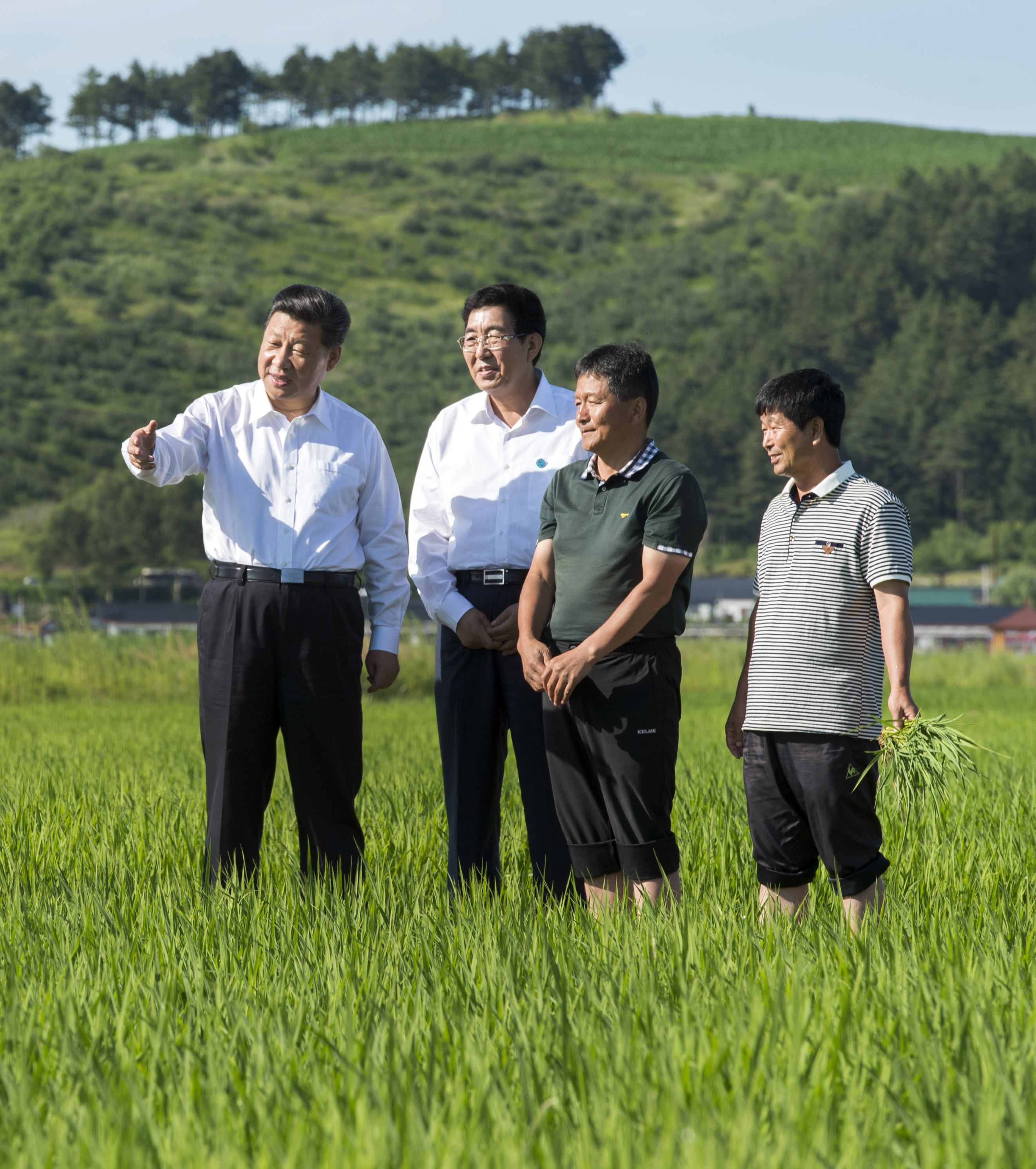 2015年7月16日，習近平總書記在吉林省延邊州和龍市東城鎮光東村視察水稻長勢。