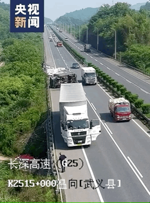 高速路上，他們突然停車了！