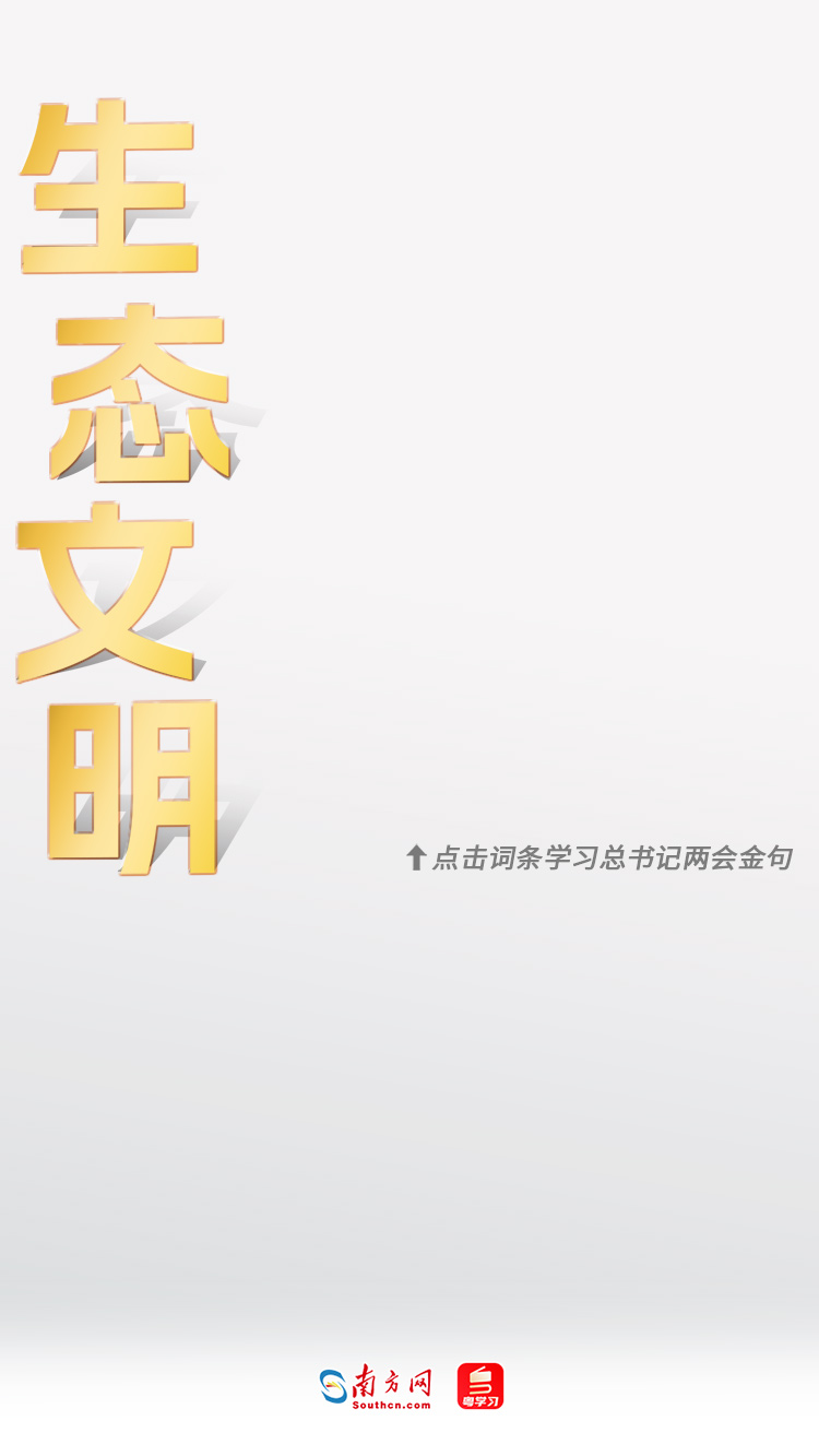 學習時節｜36次參加地方代表團審議，總書記都説了哪些“高頻詞”？