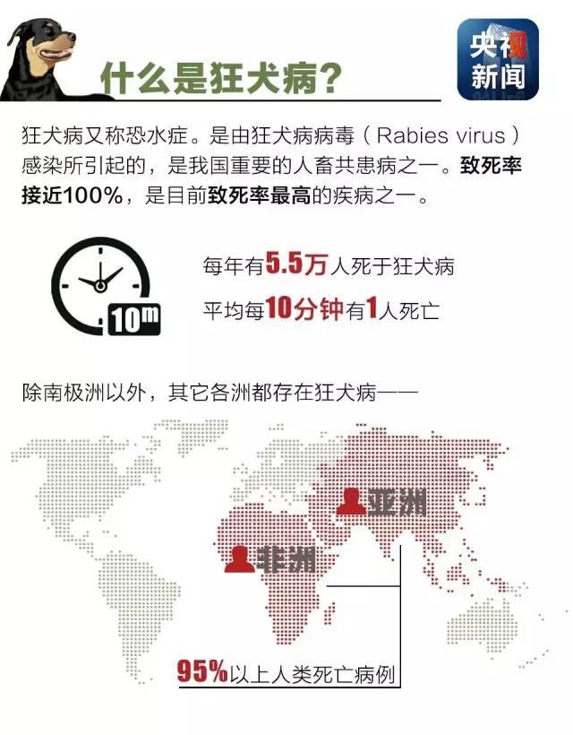 狂犬病致死率接近100%！了解這些知識讓你遠離它！