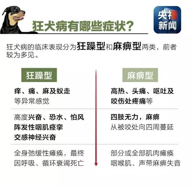 狂犬病致死率接近100%！了解這些知識讓你遠離它！