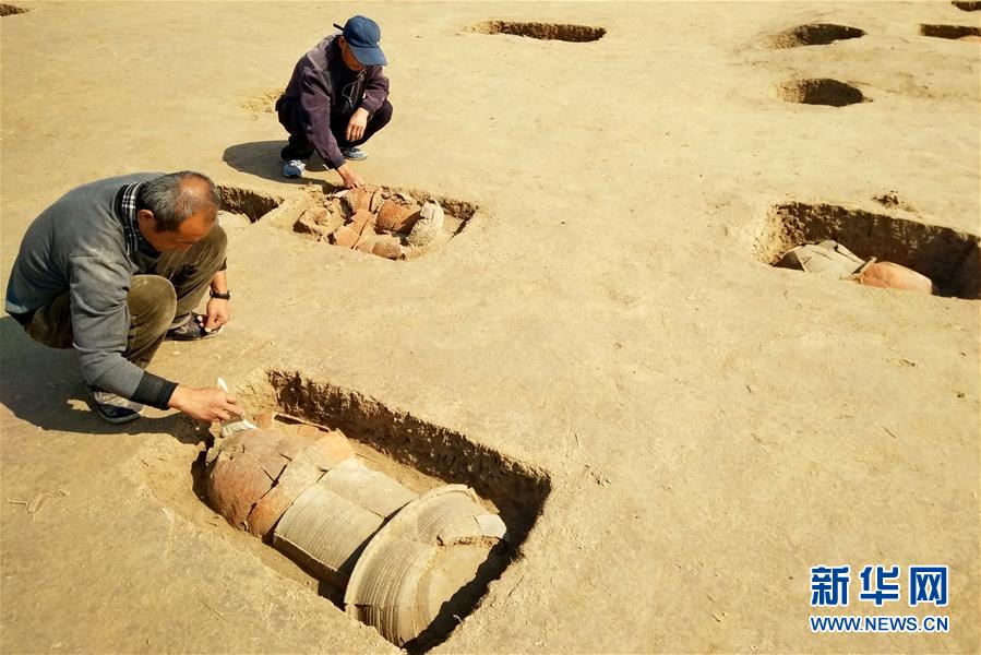 河北黃驊出土110余座甕棺葬[組圖]