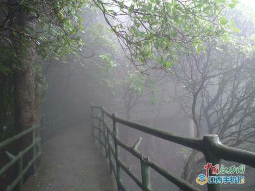 安福“羊獅慕”雨霧顯朦朧美 全國網媒江西遊記者讚“迷人”