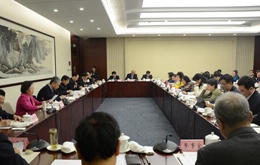 龍明彪參加全國政協十二屆五次會議民革界別聯組討論