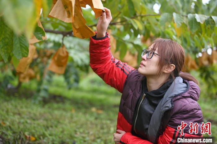 臺灣女碩士紮根廣西十年成新“農”人