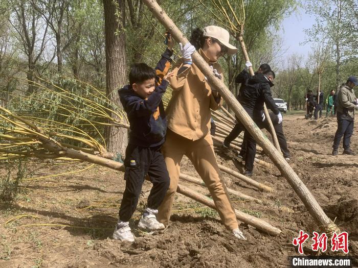 圖為參加植樹活動的在京臺胞。　楊程晨 攝