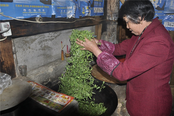 閩東茶鄉行：“天山茶舍”體驗傳統制茶工藝