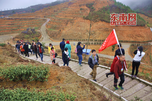 悠悠茶山情 壽寧生態茶場出好茶