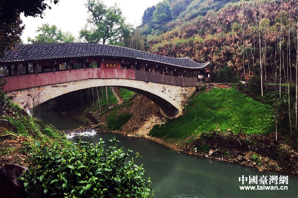 全國網路媒體閩東茶香行走進歷史文化名村——坦洋村